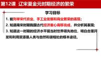 初中历史人教版（2024）七年级下册（2024）宋元时期经济的繁荣优质课ppt课件