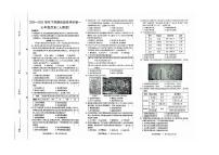 河南省鹤壁市2024-2025学年七年级下学期3月月考 历史试题（pdf版）