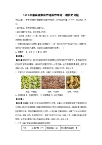 【历史】2025年湖南省娄底市涟源市中考一模试题（解析版）