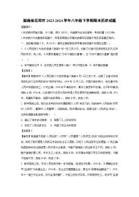 湖南省岳阳市2023-2024学年八年级下学期期末历史试卷（解析版）