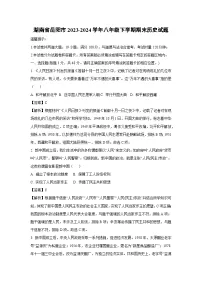湖南省岳阳市2023-2024学年八年级下学期期末历史试卷（解析版）