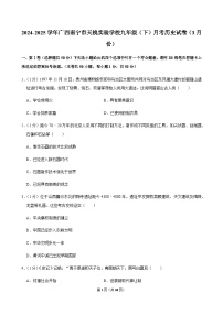2024-2025学年广西南宁市天桃实验学校九年级（下）月考历史试卷（3月份）