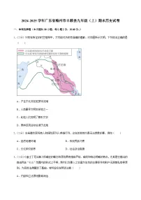 2024-2025学年广东省梅州市丰顺县九年级（上）期末历史试卷