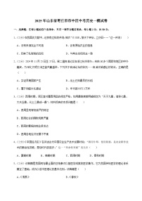 2025年山东省枣庄市市中区中考历史一模试卷