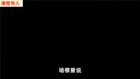 初中历史人教版（2024）七年级下册（2024）辽宋夏金元时期的科技与文化集体备课课件ppt