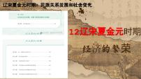 初中历史人教版（2024）七年级下册（2024）宋夏金元时期经济的繁荣说课ppt课件