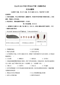 2025年云南省文山州中考二模历史试题（原卷版+解析版）