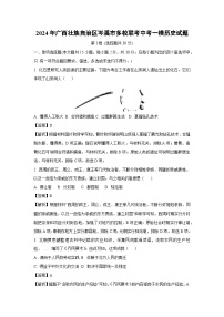 2024年广西壮族自治区岑溪市多校联考中考一模历史试卷（解析版）