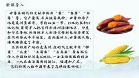 初中历史人教版（2024）七年级下册（2024）明清时期社会经济的发展教案配套ppt课件