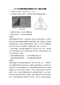 2025年安徽省芜湖市南陵县中考一模历史试卷（解析版）