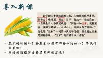 初中历史人教版（2024）七年级下册（2024）明清时期社会经济的发展集体备课课件ppt