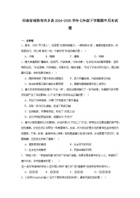 2024—2025学年度河南省南阳市内乡县七年级下学期期中考试历史试题（含答案）