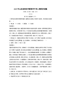 2025年山东省泰安市新泰市中考二模历史试题（解析版）