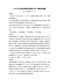 2025年山东省济南市历城区中考一模历史试题（解析版）