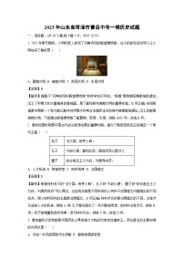 2025年山东省菏泽市曹县中考一模历史试题（解析版）