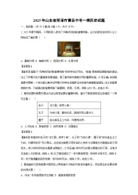2025年山东省菏泽市曹县中考一模历史试题（解析版）