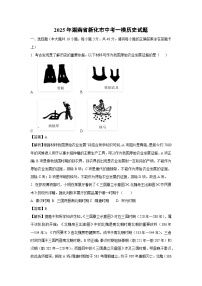 2025年湖南省新化市中考一模历史试题（解析版）