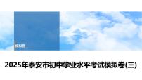 2025年春中考历史复习课件（泰安专用）42 第二编 2025年泰安市初中学业水平考试模拟卷(三)（含答案和解析）
