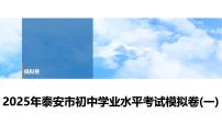 2025年春中考历史复习课件（泰安专用）40 第二编 2025年泰安市初中学业水平考试模拟卷(一)（含答案和解析）