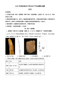 2025年陕西省商洛市洛南县中考二模历史试题（中考模拟）