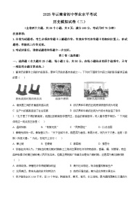 2025年云南省楚雄彝族自治州楚雄市中考二模历史试题（中考模拟）