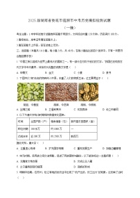 2025届湖南省娄底市涟源市中考历史模拟检测试题（一模）含答案