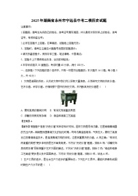 2025年湖南省永州市宁远县中考二模历史试卷（解析版）