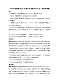2025年河南省平顶山市鲁山县部分中学中考二模历史试卷（解析版）