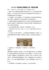 2025年广东省惠州市惠城区中考一模[中考模拟]历史试卷（解析版）