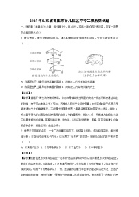 2025年山东省枣庄市台儿庄区中考二模历史试卷（解析版）