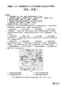 2025年安徽省C20教育联盟中考三模历史试题（中考模拟）