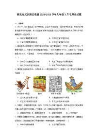 湖北省武汉腾云联盟2024—2025学年度九年级下学期3月考历史试题（含答案）