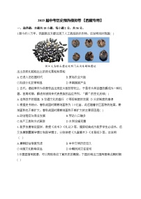 2025届中考历史模拟卷 【西藏专用】