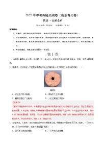 2025年中考押题预测卷：历史（山东青岛卷）（解析卷）