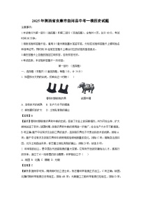 2025年陕西省安康市白河县中考一模历史试题（解析版）