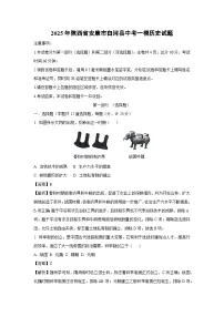 2025年陕西省安康市白河县中考一模历史试题（解析版）