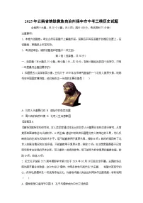 2025年云南省楚雄彝族自治州禄丰市中考三模历史试题（解析版）