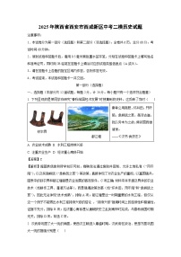 2025年陕西省西安市西咸新区中考二模历史试题（解析版）
