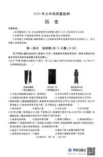 2025年河南省驻马店市驿城区部分初中联考一模历史试题（中考模拟）