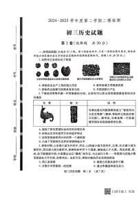 2025年山东省济宁市任城区九年级历史二模试题（中考模拟）