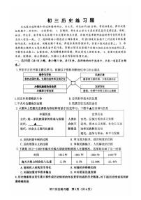 2025年山东省淄博市桓台县中考二模历史试卷（中考模拟）