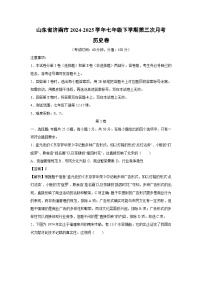 山东省济南市2024-2025学年七年级下学期第三次月考卷历史试题（解析版）