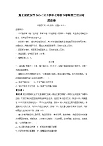 湖北省武汉市2024-2025学年七年级下学期第三次月考卷历史试题（解析版）