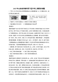 2025年山东省济南市历下区中考二模历史试题（解析版）