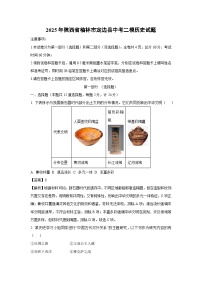 2025年陕西省榆林市定边县中考二模历史试题（解析版）
