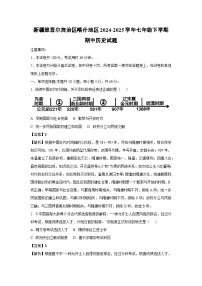 新疆维吾尔自治区喀什地区2024-2025学年七年级下学期期中历史试卷（解析版）