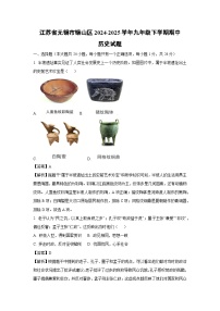 江苏省无锡市锡山区2024-2025学年九年级下学期期中历史试卷（解析版）