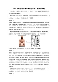 2025年山东省淄博市张店区中考二模历史试卷（解析版）