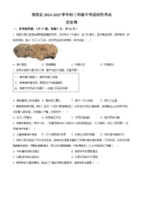 2025年广东省深圳市龙岗区中考二模历史试题（中考模拟）