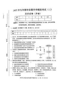 2025年安徽省芜湖市中考三模历史试题（中考模拟）